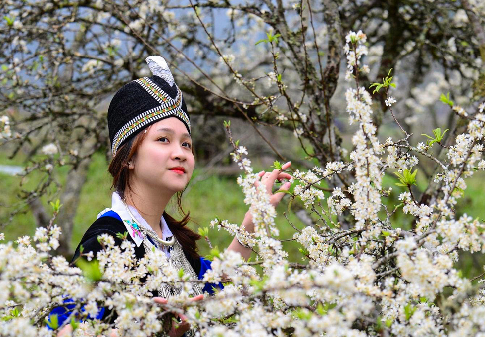 ĐIỆN BIÊN MÙA HOA BAN TRẮNG